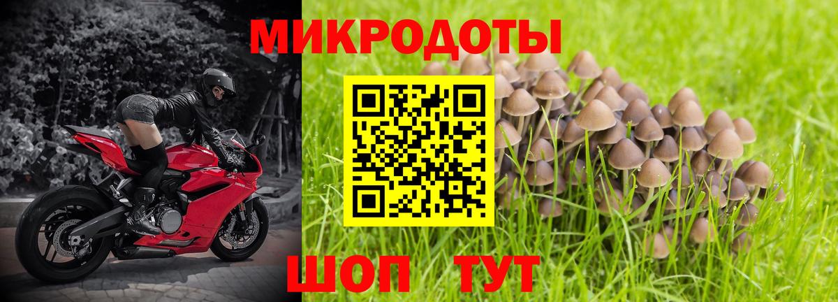 Назрань  купить   Вход с VPN  Галлюциногенные грибы Psilocybine cubensis 